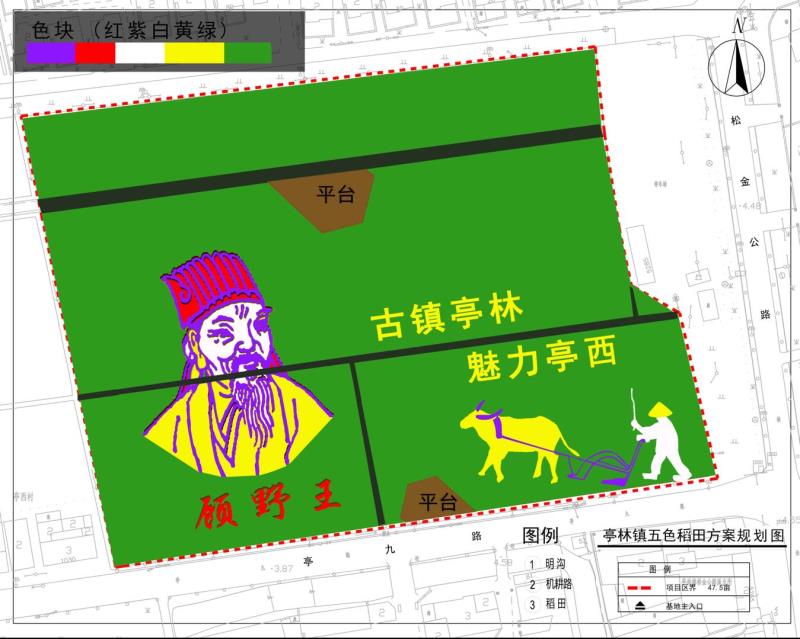 北斗卫星神定点，五彩水稻绘传奇